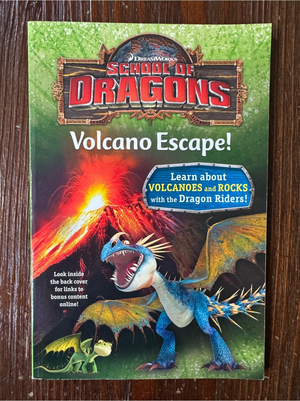 School of Dragons Volcano Escape non-fiction book How to Train Your Dragon